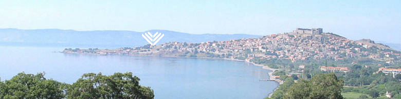 Welcome to VILLA ANNIE of Molivos, Lesvos island, Greece | SPECIAL OFFERS